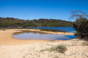 Back Lake, Short Point Beach, NSW Australia