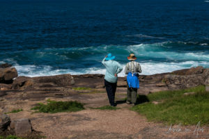 Walkers on the cliffs under Short Point Recreation Reserve, NSW Australia