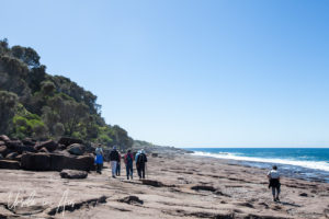 Walkers on the rocky ledge, Short Point, NSW Australia