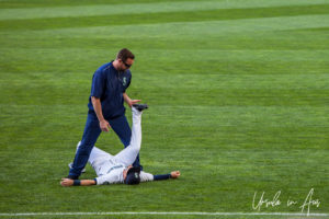 Seattle Mariner stretching on the grass, Safeco, Seattle USA