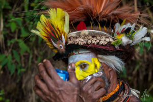 Portrait: Huli Wigman applying face paint, Paiya Village, Papua New Guinea.