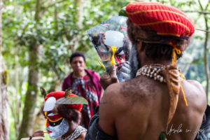 Portrait: Western Highland man applying face paint in a hand mirror, Paiya Village, Papua New Guinea.