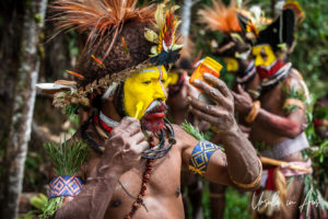 Portrait: Huli Wigman applying face paint, Paiya Village, Papua New Guinea.