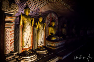 Buddhas in the Cave of the Great Kings, Dambulla Cave Temple, Sri Lanka