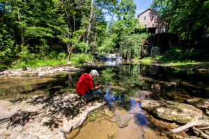 Falls Mill and Wheel on Factory Creek, Belvidere, Tennessee