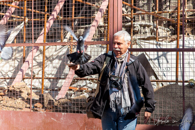 Man feeding pigeons, Durbar Square, Patan Nepal