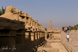 Criosphinxes and the walkway to the First Pylon, Karnak Egypt
