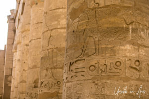 Detail of large Sandstone Pillars, Karnak Egypt