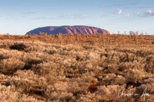 Uluru across a semi-arid plain, Yulara, NT Australia