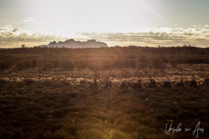 Sun-Flares over Kata Tjuta and a camel train, Yulara, NT Australia