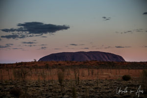 Uluru after sunset, across a semi-arid plain, Yulara, NT Australia