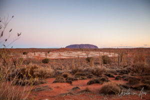Uluru and an unlit Field of Light, Yulara NT Australia