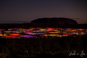 Uluru in a Field of Light, Yulara NT Australia