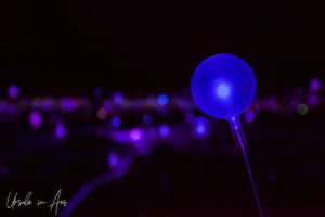 Blue light globe, Field of Light, Yulara NT Australia