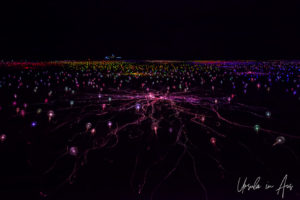 In the Field of Light, Yulara NT Australia