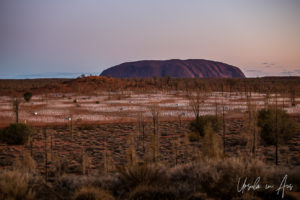 Uluru and an unlit Field of Light, Yulara NT Australia