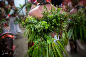 Detail: Back of a sing sing costume: a complex bundle of greenery.