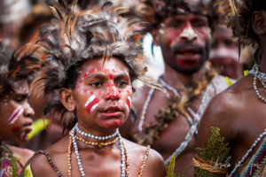 Papuan people In brown feathered headdresses, Mount Hagen PNG.