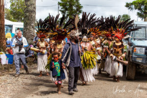A Western Highland Dance Troupe, Mt Hagen PNG