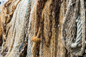 Detail: Nets and ropes hanging over a rail, Honfleur France
