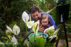 Man and a toddler watching butterflies, Wye Valley Butterfly Zoo, Herefordshire, UK.
