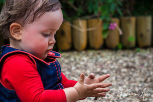 Close-up: toddler on a pathway, Wye Valley Butterfly Zoo, Herefordshire, UK.