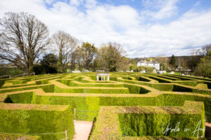 The Jubilee Maze from the viewing area, the aMazing Hedge Puzzle, Herefordshire, UK.