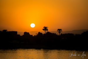 Sunset on the Palms, Upper Nile, Egypt