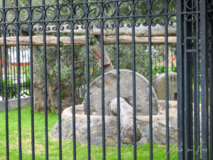Ancient stone olive press, Lima Peru