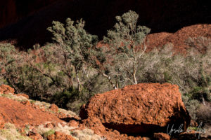 Boulders at the entry to Walpa Gorge, Kata Tjuta, NT Australia
