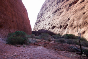 Inside Walpa Gorge, Kata Tjuta, NT Australia