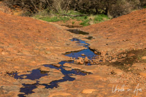 Water on the rocks, Walpa Gorge, Kata Tjuta, NT Australia