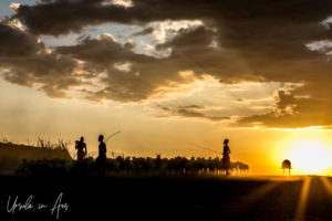 Silhouette of men and goats in a dusty sundown, Omo River, Ethiopia
