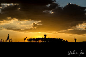 Silhouette of men and goats in a dusty sundown, Omo River, Ethiopia