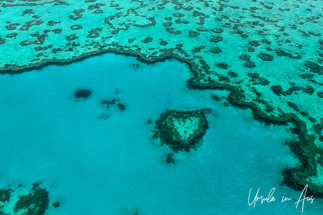 Heart Reef at Hardy Reef, Whitsunday Islands Australia