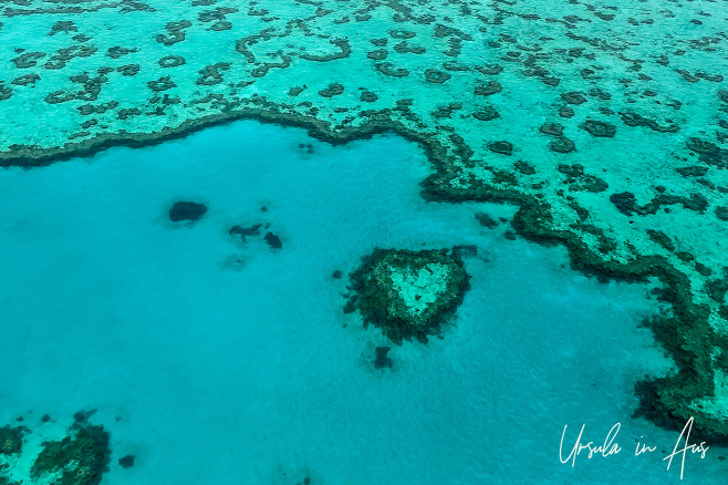 Heart Reef at Hardy Reef, Whitsunday Islands Australia