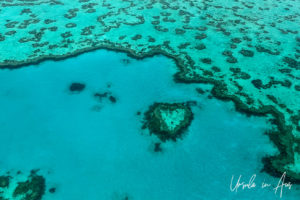Heart Reef at Hardy Reef, Whitsunday Islands Australia