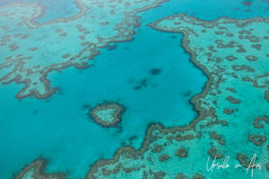 Aerial view of Heart Reef, Whitsunday Islands, Queensland Australia