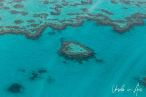 Aerial view of Heart Reef, Whitsunday Islands, Queensland Australia