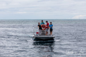 Shuttle boat, Hardy Reef, Queensland Australia