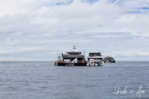 Platform and boats at Reefworld, Queensland Australia