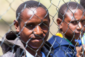 Portrait: Papuan man behind a mesh fence, Mt Hagen Cultural Show, PNG