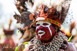 Portrait: Western Highlands Woman, Mt Hagen Cultural Show, PNG