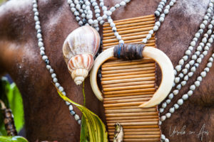 Detail: back ornamentation of tusks and shells, Mt Hagen Cultural Show, PNG