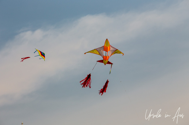 Colourful kites in a blue sky, Colombo Sri Lanka