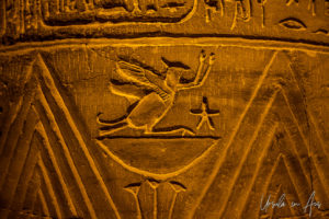 Carved bird with arms, Kom Ombo Temple after dark, Egypt