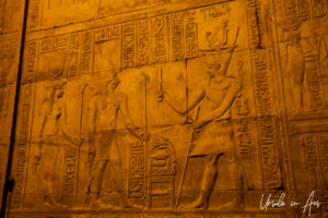 Relief of Hathor, Horus and the pharaoh, Kom Ombo Temple after dark, Egypt
