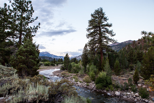 Sunrise view of riverside valley forest, and surrounding mountains, Stanislaus National Forest, CA USA