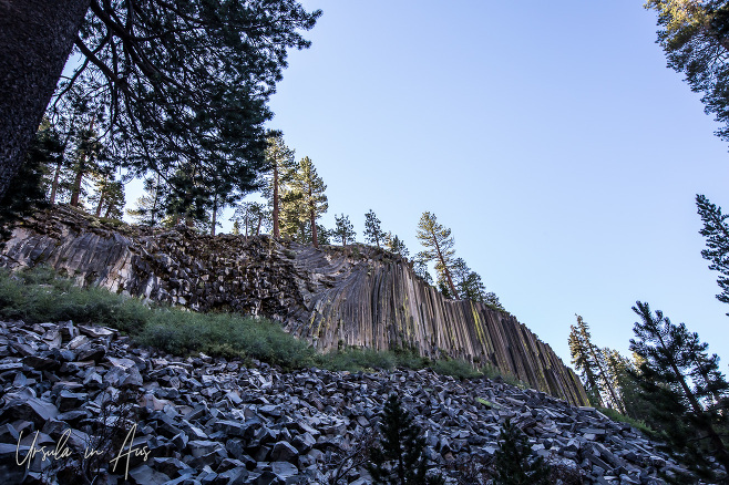 Devils Postpile, early morning, California USA