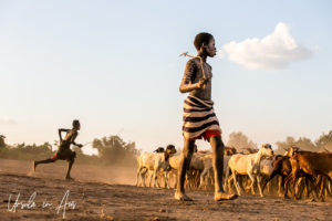 Young Kara goatherd in a striped wrap, Dus Village Ethiopia